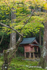 Fototapeta na wymiar 日本　滋賀県愛知郡愛荘町にある湖東三山の一つ、金剛輪寺の境内の紅葉