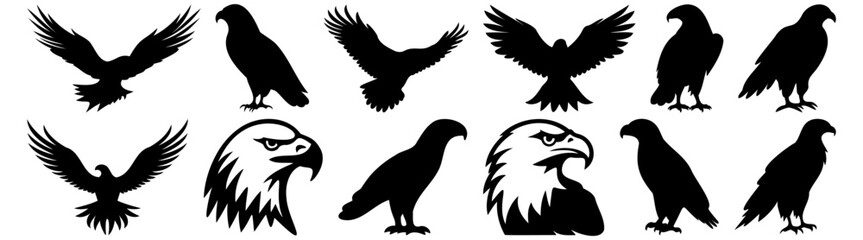 Eagle silhouette set vector design big pack of illustration and icon