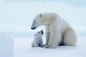 Keuken spatwand met foto a polar bear and its cub on a snowy landscape, the cub looking up at the adult bear © larrui