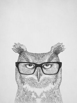 Owl wearing glasses illustration