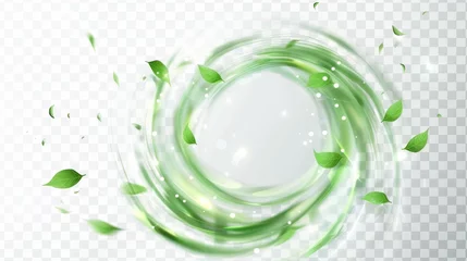 Poster Flying mint leaves and abstract wind swirls isolated on transparent background. Modern realistic illustration of air vortex and wave. © Mark