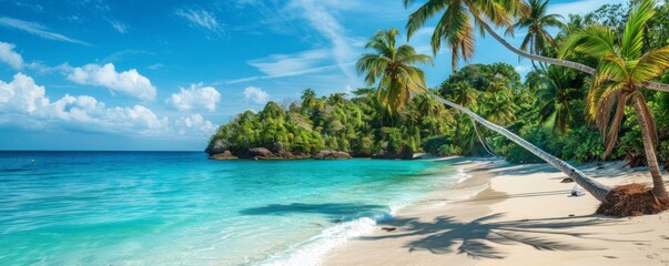 Tropical Caribbean beach paradise with crystal-clear turquoise waters and lush palm trees, perfect for an idyllic summer getaway. - obrazy, fototapety, plakaty
