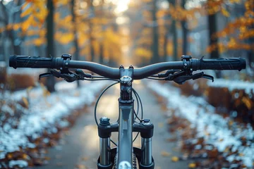 Foto op Plexiglas Sharp focus on handlebars with autumn forest pathway backdrop reflects active lifestyle © Larisa AI