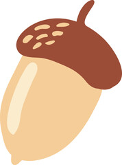 Cute hand drawn acorn
