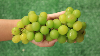 Sweet green grapes, natural fruit