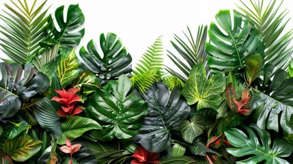 Fototapeta premium Lush tropical leaves jungle backdrop, isolated on white.