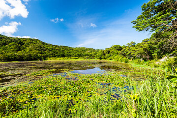 Beautiful Dongyuan Wetland Park in Pingtung, Taiwan.