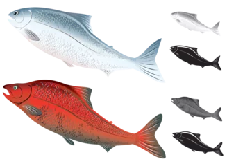 Foto op Canvas かわいい顔の紅白2種類の鮭鱒イラストセット（モノクロとシルエット付） © SAIGLOBALNT