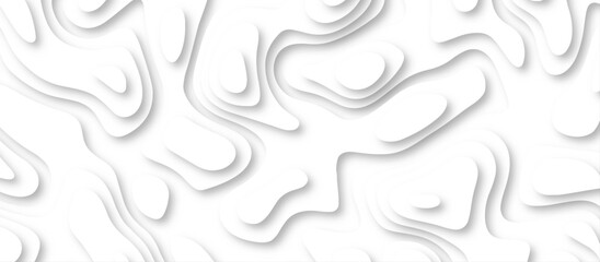 3d render, abstract white paper background. Paper cut vector art background banner texture. multi layer cutout geometric pattern on vector, Abstract soft white background with waves.