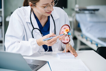 Confident young Caucasian female doctor in white medical uniform sit at desk working on computer. Smiling use laptop write in medical journal in clinic.