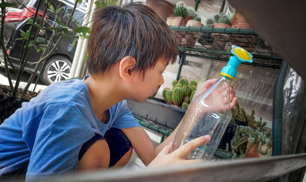 Boy engages in garden maintenance, watering a cactus plant.