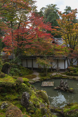 Fototapeta na wymiar 日本　滋賀県犬上郡甲良町にある西明寺の本坊庭園、蓬莱庭と紅葉