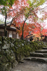 日本　滋賀県犬上郡甲良町にある西明寺の観林坊と紅葉