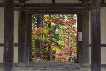 Fototapeta na wymiar 日本　滋賀県犬上郡甲良町にある西明寺の二天門と紅葉