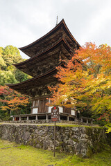 日本　滋賀県犬上郡甲良町にある西明寺の三重塔と紅葉