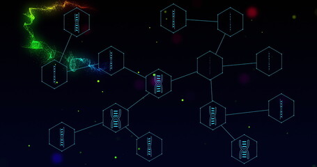 Image of rainbow flares and medical icons and data processing on black background