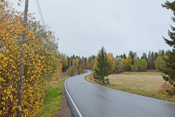 Wet asphalt road with curve in the countryside in cloudy autumn weather.