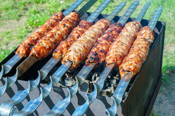 Barbecue on the grill-barbecue in nature