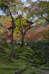 日本　滋賀県犬上郡甲良町にある西明寺の三重塔と紅葉