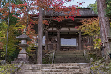 日本　滋賀県犬上郡甲良町にある西明寺の二天門と参道沿いの紅葉 - obrazy, fototapety, plakaty