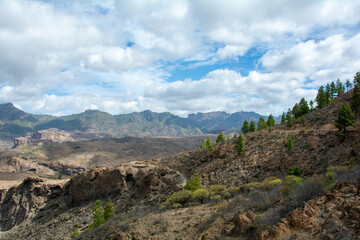 Panoramic view of the  mountains on the island of Gran Ganaria with pine trees