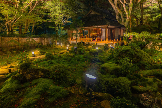 日本　滋賀県近江八幡市安土町にある教林坊のライトアップされた庭園の紅葉と本堂