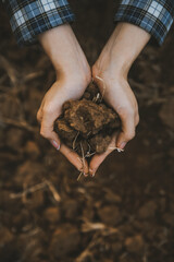 Top view of soil in hands for check the quality of the soil for control soil quality before seed plant. Future agriculture concept. Smart farming, using modern technologies in agriculture