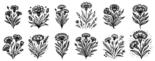 collection of field cornflower blooms, floral engravings with leaves and stems, black vector graphic laser cutting engraving
