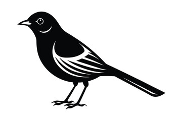 bird vector silhouette illustrator design .eps