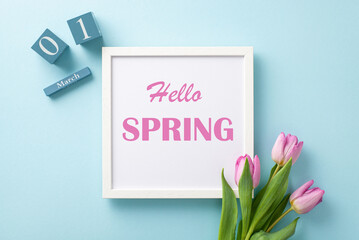 Spring awakening scene! Top view of "Hello Spring" frame, March 1st on calendar cubes, fresh tulips bunch on a pastel blue setting. Ad-ready space