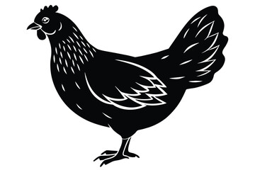 Fototapeta na wymiar chicken vector silhouette illustrator design .eps