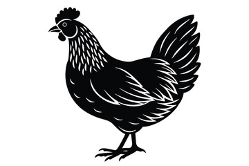 Fototapeta na wymiar chicken vector silhouette illustrator design 8.eps