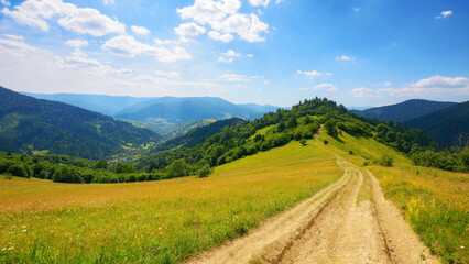 trail through alpine meadows and pastures. mountainous rural landscape of ukraine in summer. sunny afternoon with fluffy clouds on a blue sky above wide vista of carpathian scenery in the distance