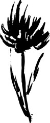 Hand Drawn Cornflower Brush Ink Silhouette - 758039163