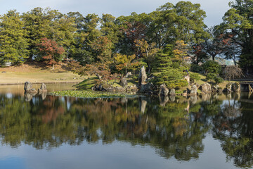 Fototapeta na wymiar 日本　滋賀県彦根市の彦根城のお堀沿いに作られた大名庭園、玄宮園の魚躍沼