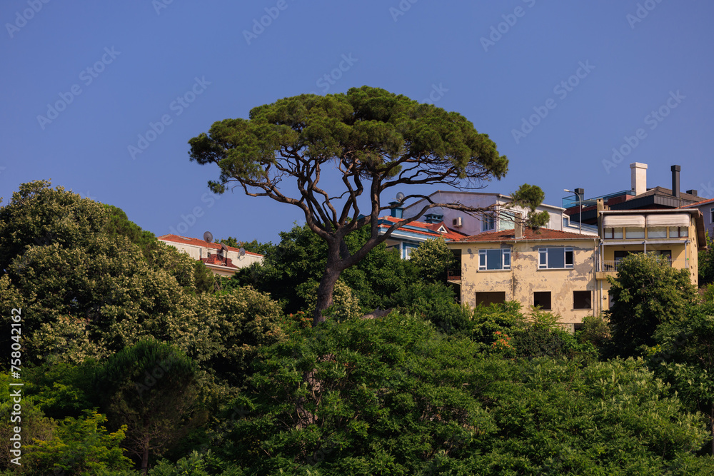 Wall mural Southern cityscape, view of buildings and houses in public places in Turkey, sunny summer day in a resort town