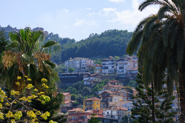 Southern cityscape, view of buildings and houses, palm trees and mountains, in public places in Turkey, sunny summer day in a resort town
