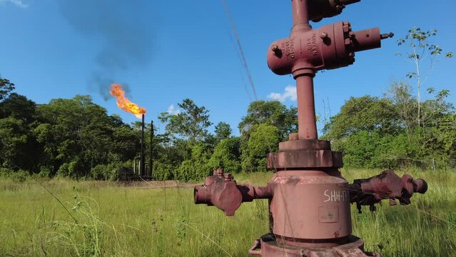 Oil in the Ecuadorian Amazon