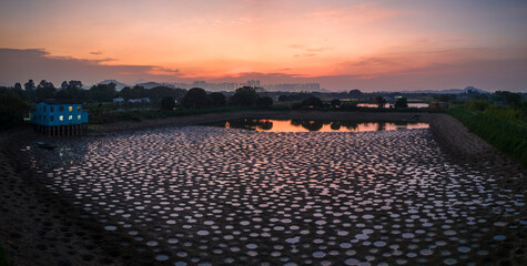 Tai Sang Wai Drought Fish Ponds.