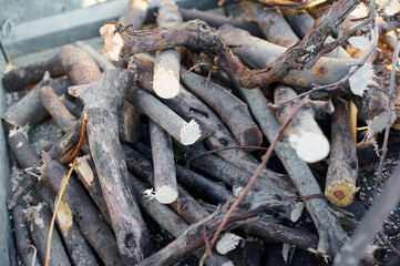 Cut wooden logs stacked, showing growth rings and the rough texture of the bark.