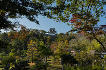 日本　滋賀県彦根市の大名庭園、玄宮園の紅葉と彦根城の天守閣