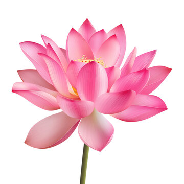pink lotus flower isolated on transparent background Generative Ai