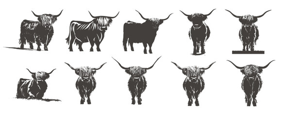 Silhouette set of highland cow, Generative Ai - obrazy, fototapety, plakaty
