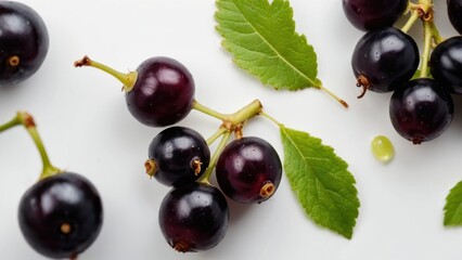 A close-up of ripe black currant berries isolated on a white background