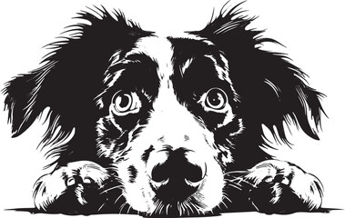 Dog Heads, Funny Dog, Peeking Dogs, Vector Illustration On White Background, Dog Heads, Dog Silhouette