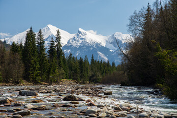 Bialka river near Jurgow, Malopolskie, Poland in spring. In the background snow covered peaks of...