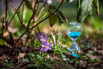 Die Zeit verrinnt durch die Sanduhr im Frühling. Erstes kurzes Aufblühen.