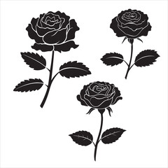 rose silhouettes