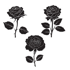 rose silhouettes