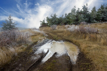 frozen puddle on path - 758062931